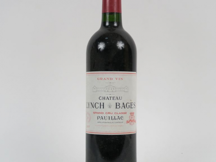 1 BOUTEILLES CHÂTEAU LYNCH BAGES GCC PAUILLAC - 2005