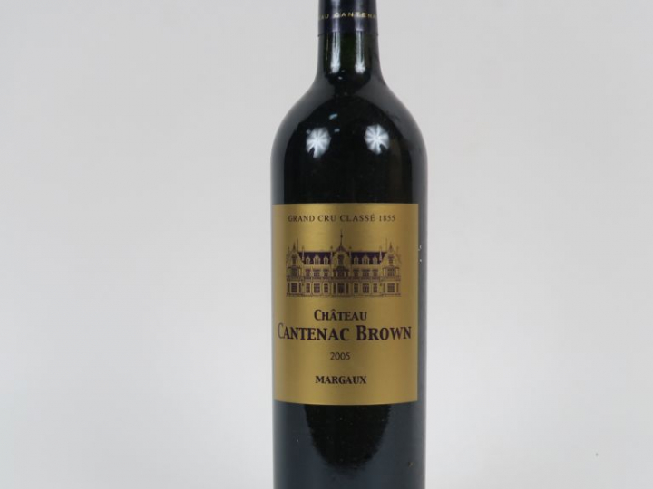1 BOUTEILLE CHÂTEAU CANTENAC BROWN GCC MARGAUX - 2005