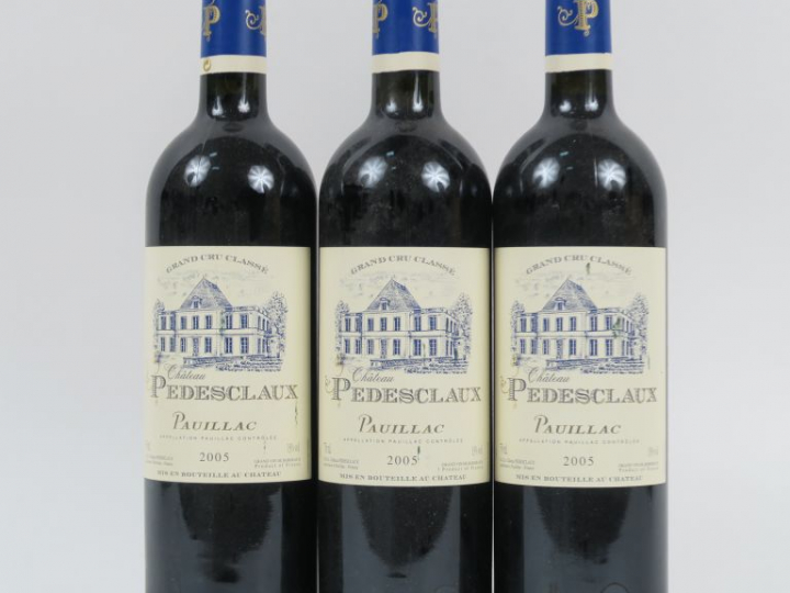 3 BOUTEILLES CHÂTEAU PEDESCLAUX GCC PAUILLAC - 2005