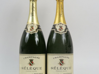 Vente aux enchères 2 MAGNUMS CHAMPAGNE SÉLÈQUE
