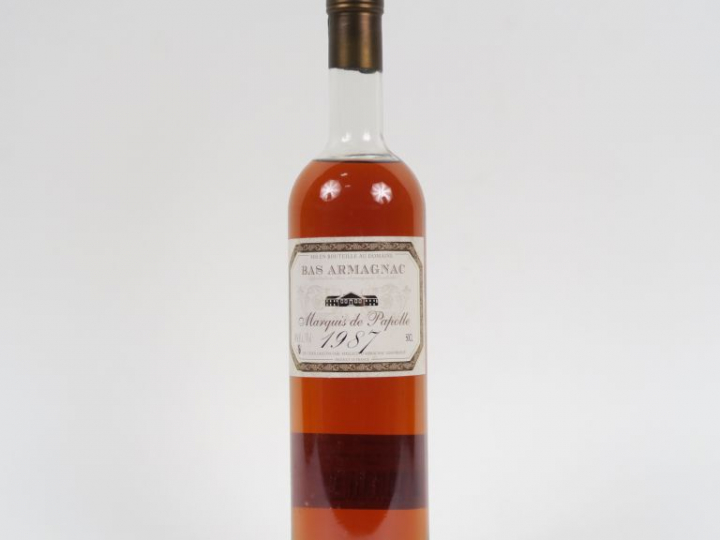 1 BOUTEILLE (50 CL) BAS ARMAGNAC MARQUIS DE PAPOLLE - 1987