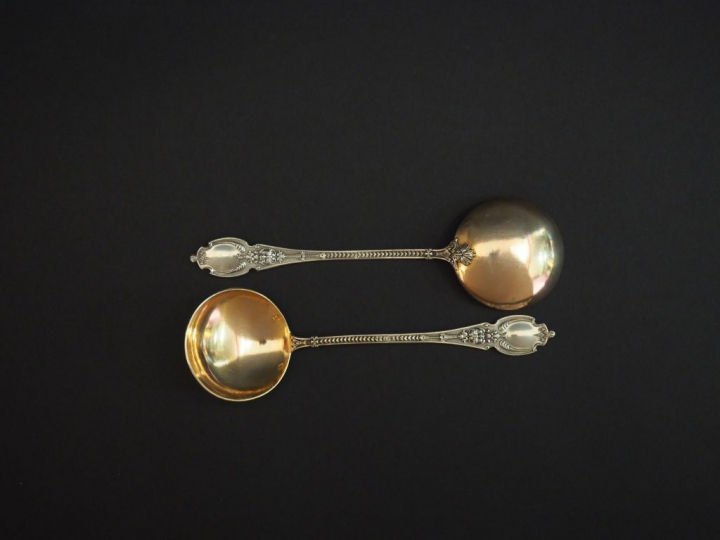 Paire de cuillères à sauce Napoléon III en argent et vermeil, poinçon 