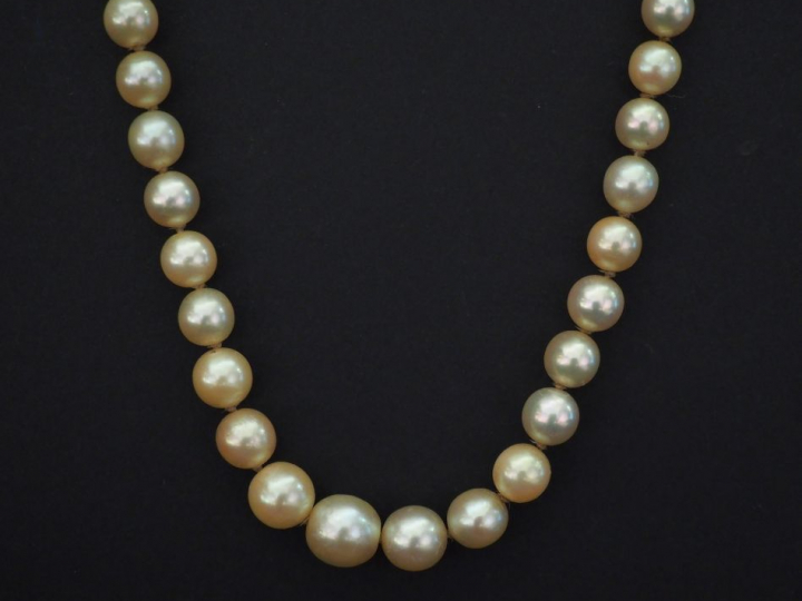 Collier de perles blanches disposées en chute.  Fermoir de forme cylin