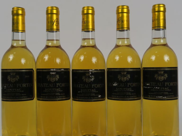 5 BOUTEILLES : 4 CHÂTEAU FORTIN LOUPIAC  2011 - ETLA / 1 CHÂTEAU FORTI