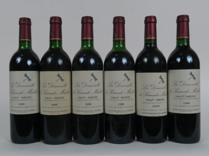 6 BOUTEILLES LA DEMOISELLE DE SOCIANDO MALLET - 1995 - 2 BG/1 LB/1 HEP