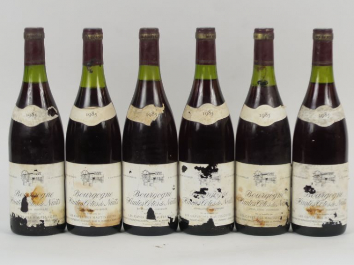 6 BOUTEILLES BOURGOGNE HAUTES CÔTES DE NUITS LES CAVES DE HAUTES COTES