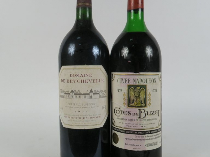 2 MAGNUMS : 1 DOMAINE DE BEYCHEVELLE 1994 ELS -1 COTES DE BUZET CUVEE 