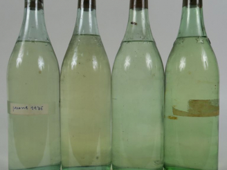 Vente aux enchères 4 BOUTEILLES EAU DE VIE PRUNE - 1976 - 3 PRESUMEES - MISE PARTICULIERE