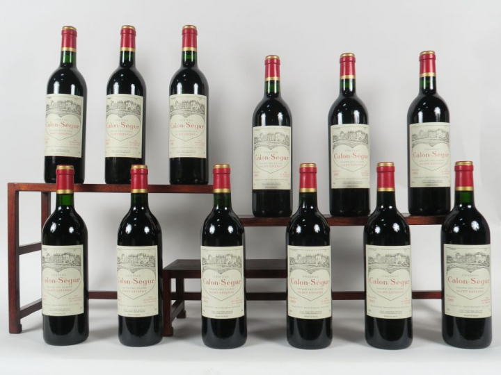 12 BOUTEILLES CHÂTEAU CALON SEGUR GCC SAINT ESTEPHE - 1993 - CBO
