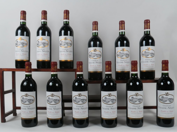 12 BOUTEILLES CHÂTEAU CHASSE SPLEEN MOULIS EN MEDOC - 1995 - CBO - 1 B