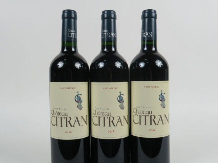 3 BOUTEILLES CHÂTEAU CITRAN HAUT MEDOC - 2012