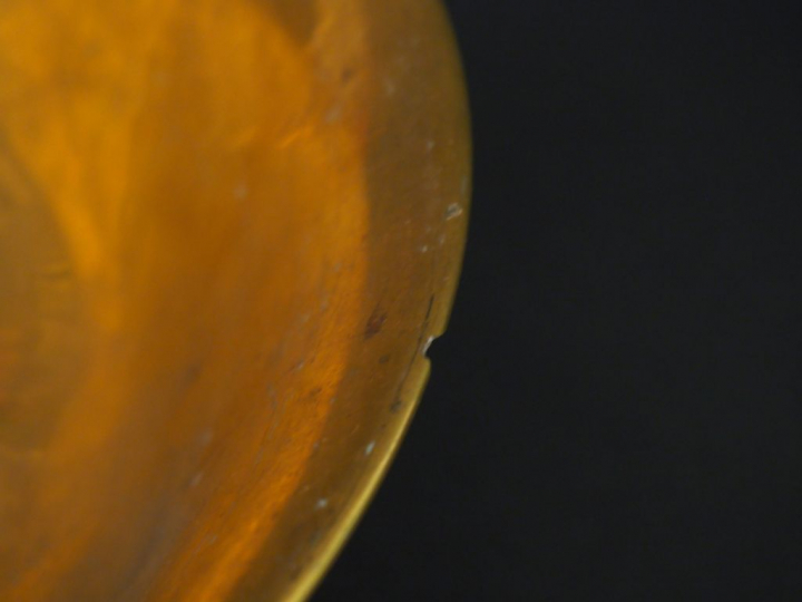 Coupe sur talon en porcelaine de style Empire, à décor dans des réserv