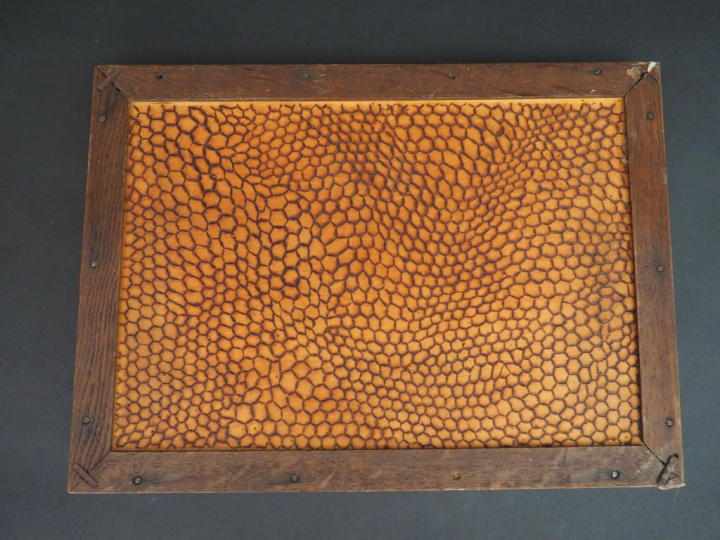 Plateau Art Nouveau en bois pyrogravé à décor d'une jeune fille dans u