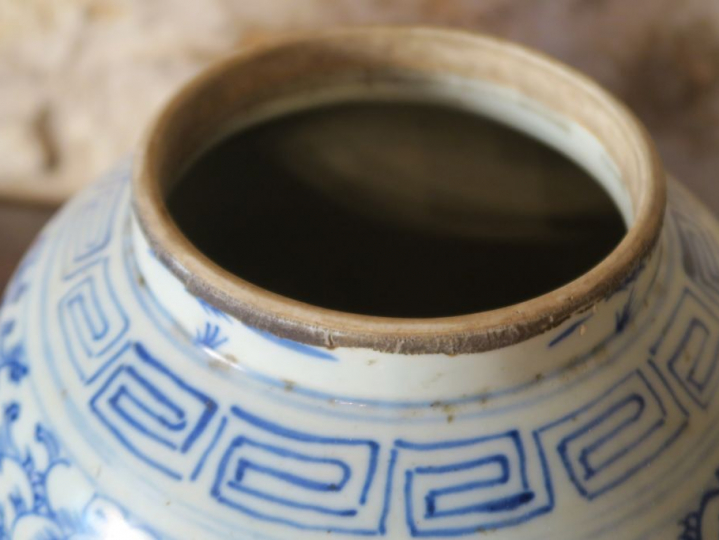Paire de potiches indochinoises vers 1900 en porcelaine à décor en ble