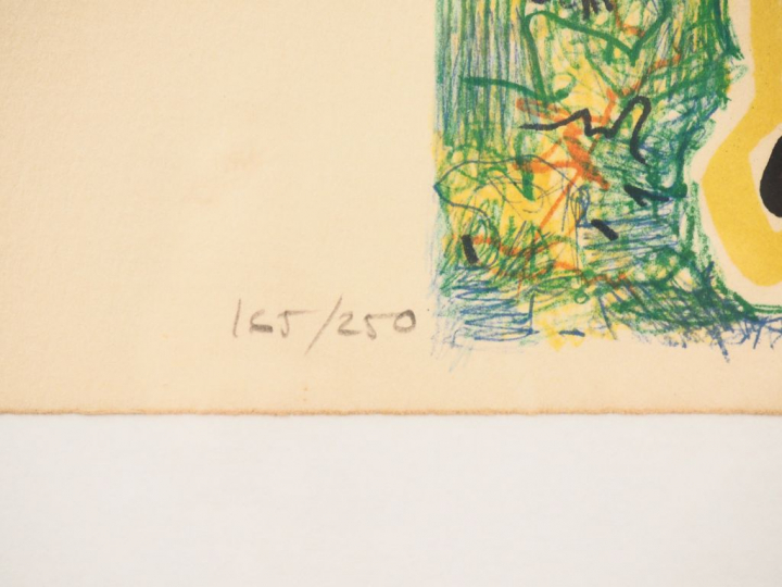 Salvador DALI.  "L'éléphant rose" Lithographie en couleurs signée, num