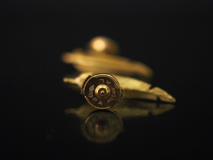 Paire de perces oreilles en or jaune, en forme de plume. Fermoir en or