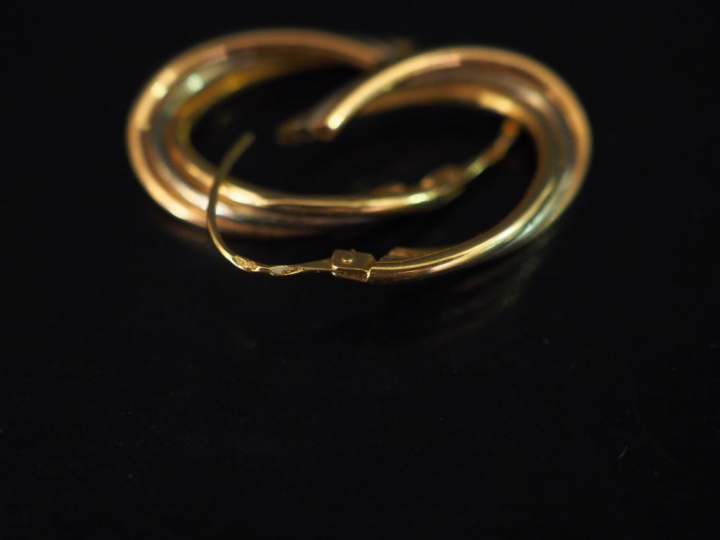 Paire de créoles trois tons d'or, à décor de motif torsadé.  H. 2  cm 