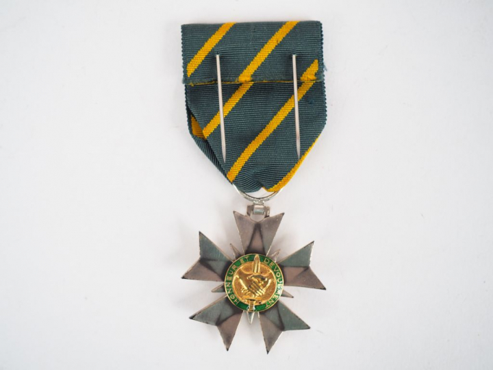 Etoile de chevalier français de l’ordre du mérite combattant (institué
