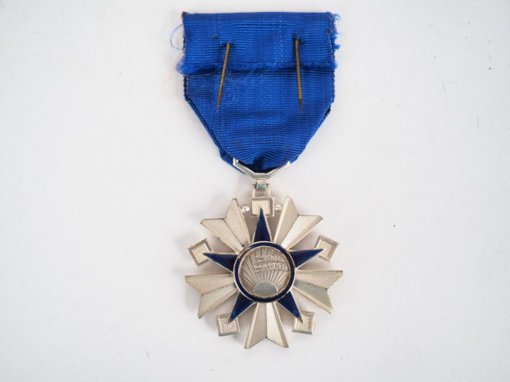 Etoile française de l’ordre de la santé publique (chevalier) module ar