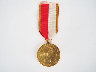 Vente aux enchères Médaille du mérite polonais pour la défense du pays, module rond en br