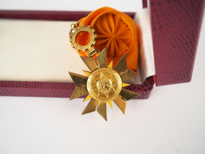 Boite contenant une étoile d’officier en bronze doré et branche émaill