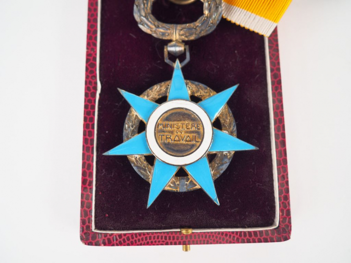 Etoile de commandeur du mérite social, module biface en bronze et émai