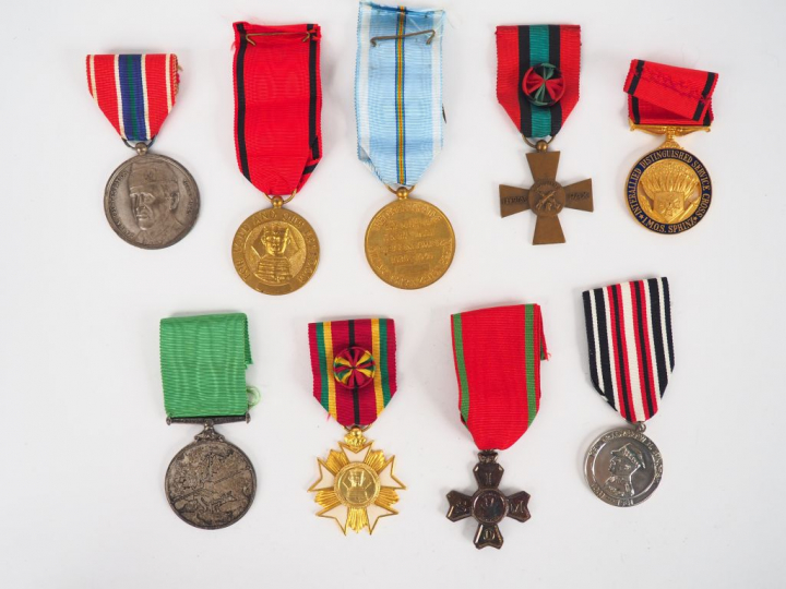 Lot de 9 décorations internationales du réseau Sphinx (IMOS) de lutte 