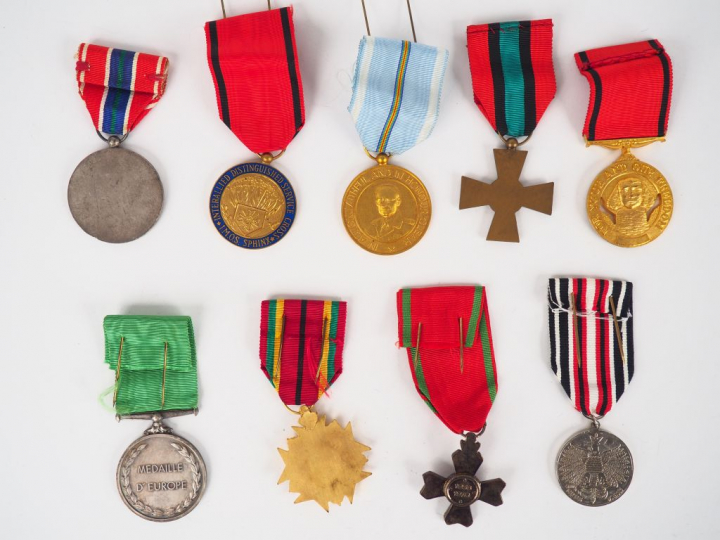 Lot de 9 décorations internationales du réseau Sphinx (IMOS) de lutte 