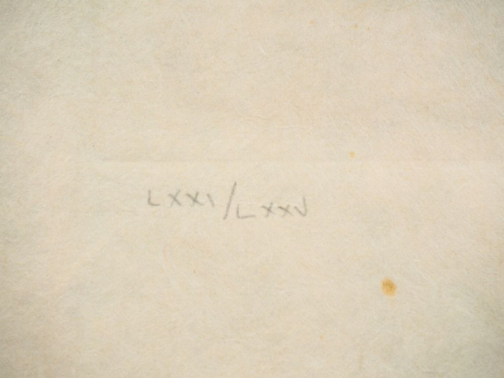 Léonor FINI. "Portrait". Lithographie en couleur, signée bas à droite 