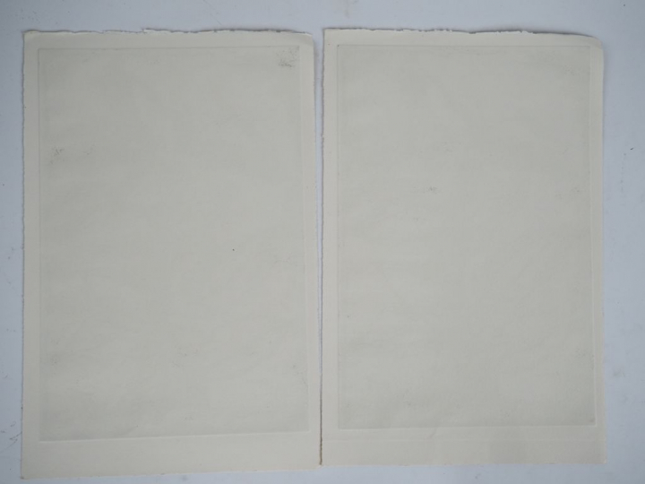 Jean-pierre PINCEMIN. "Arbres". 2 épreuves d'artistes signées en bas à