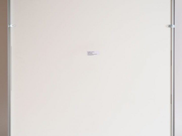 Andy WARHOL.  "Fleurs". Impression en couleur. Published by Sunday by 