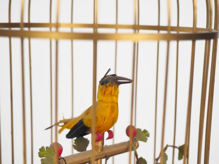 AU NAIN BLEU. Automate musical allemand "oiseau chanteur". H. 29 cm. (