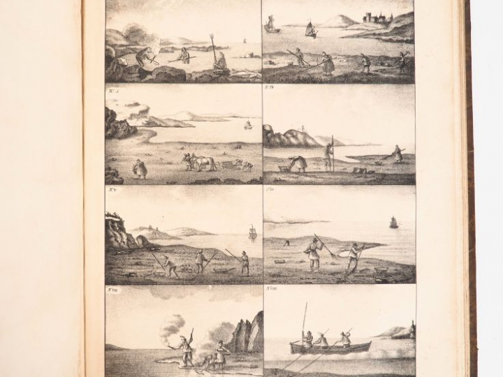 BAUDRILLART (J. J.). TRAITÉ GÉNÉRAL DES EAUX ET FORÊTS, CHASSES ET PÊC