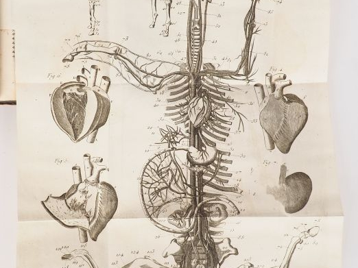 LAFOSSE (Comte Galeazzo). GUIDE DU MARÉCHAL, ouvrage contenant une Con