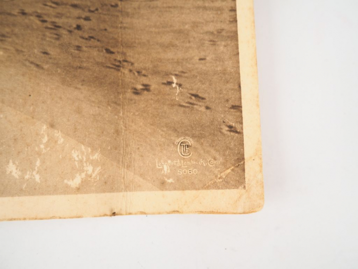 [PHOTOGRAPHIE]. THE PRAYER IN THE DESERT. Lehnert   Landrock, Cairo, 5