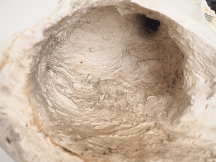 Ecole française ou vietnamienne dans le goût de l'école de Hanoï. Bust