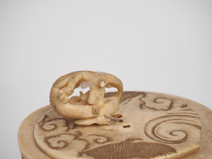 Pot couvert en ivoire Elephantidae spp. Pot couvert en ivoire Dragon é