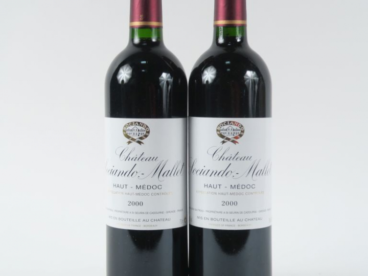2 BOUTEILLES CHÂTEAU SOCIANDO MALLET HAUT MEDOC - 2000