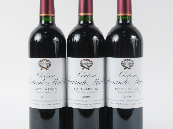 3 BOUTEILLES CHÂTEAU SOCIANDO MALLET HAUT MEDOC - 2000