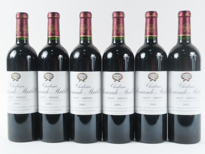6 BOUTEILLES CHÂTEAU SOCIANDO MALLET HAUT MÉDOC - 2001