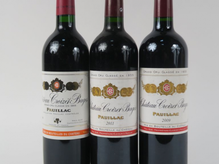 3 BOUTEILLES CHÂTEAU CROIZET BAGES GCC PAUILLAC : 1 de 1995/1 de 2009/