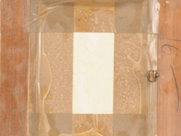 Fernand ROUX. "Nu stylisé". Dessin, signé en bas à droite. Dim. (à vue