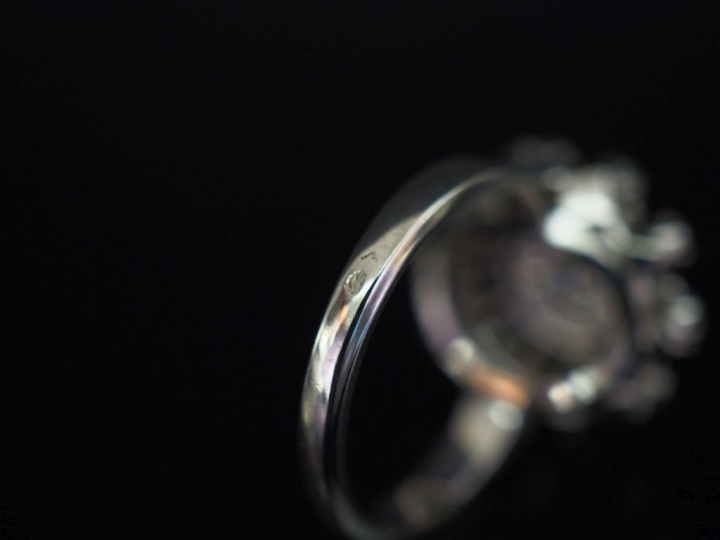 Bague en platine et or blanc en forme de fleur épanouie, sertie en son