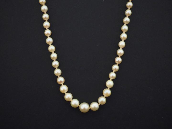 Collier de perles blanches disposées en chute.  Fermoir en or jaune.  