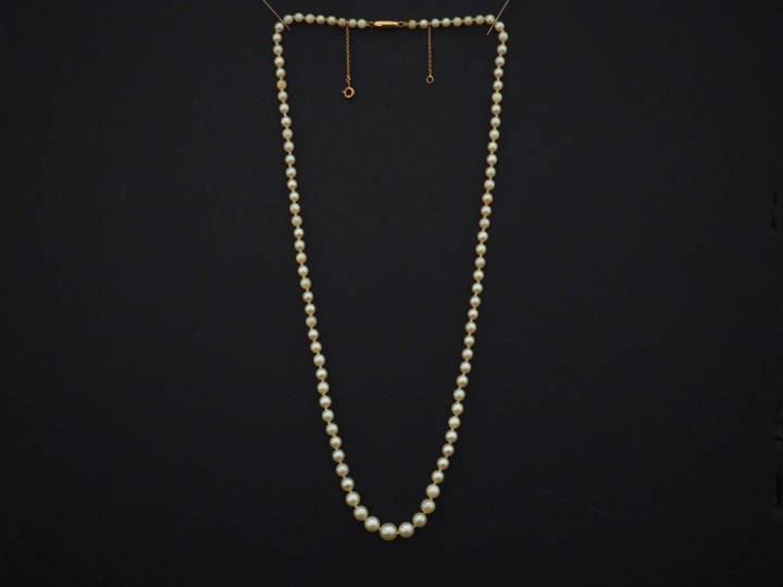 Collier de perles blanches disposées en chute.  Fermoir en or jaune.  