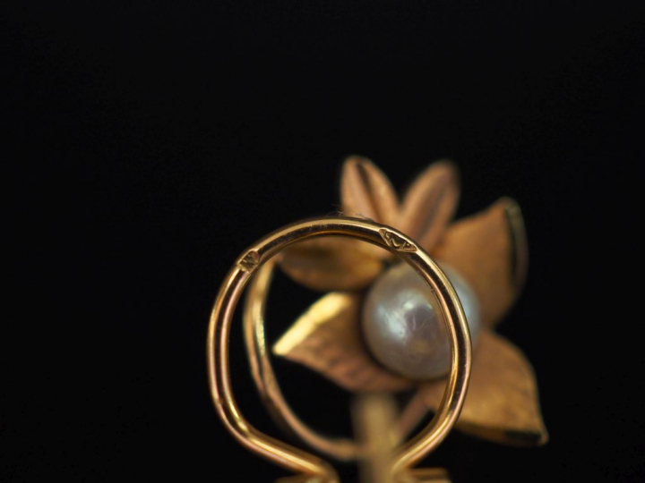 Paire de perces oreilles en forme de feuillage en or jaune, agrémentés