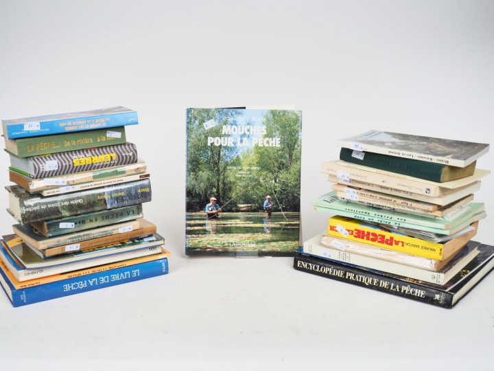 Lot de 29 livres