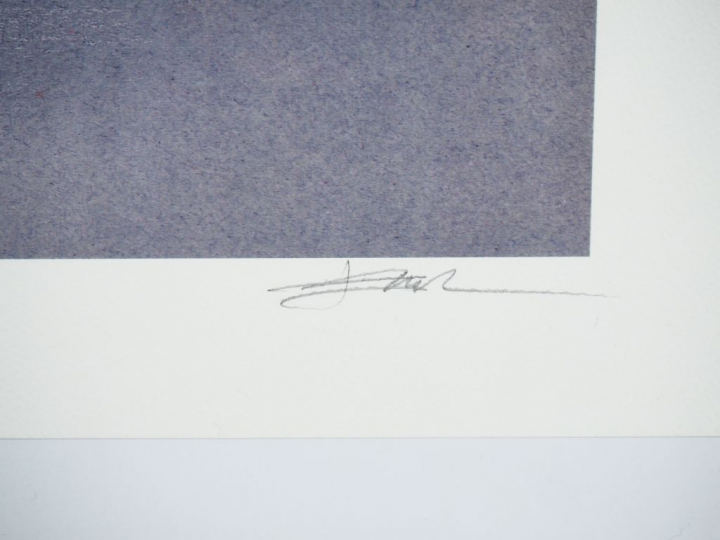 ENKI BILAL. 'Animal'z '. Lithographie, signée et numérotée 102/199. Di