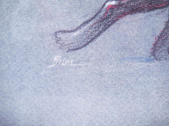 ENKI BILAL. 'Animal'z '. Lithographie, signée et numérotée 102/199. Di