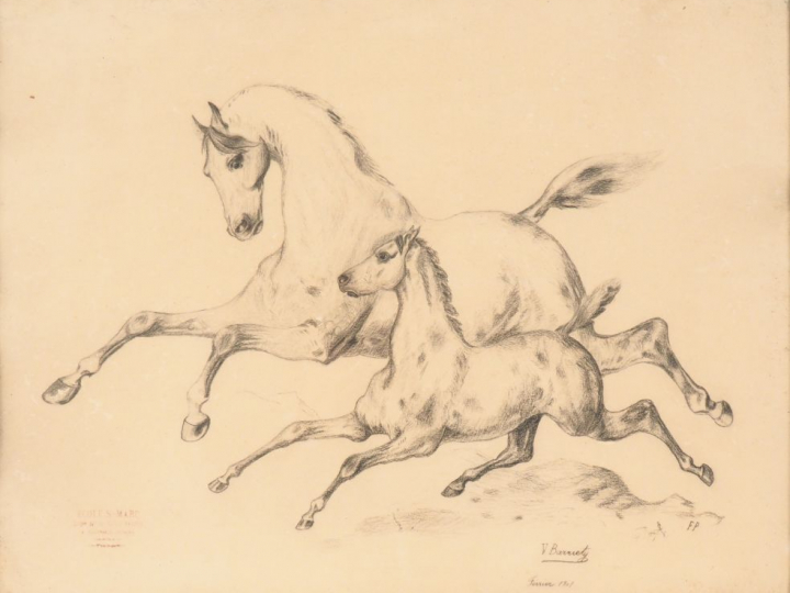 BARRIETY. "Jument et sa pouliche". Dessin signé en bas à droite et dat